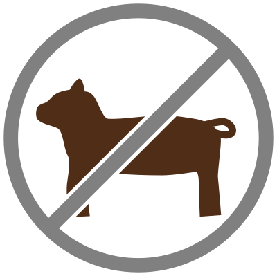 no pets allowed